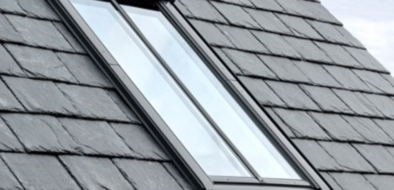 Conservation roof windows