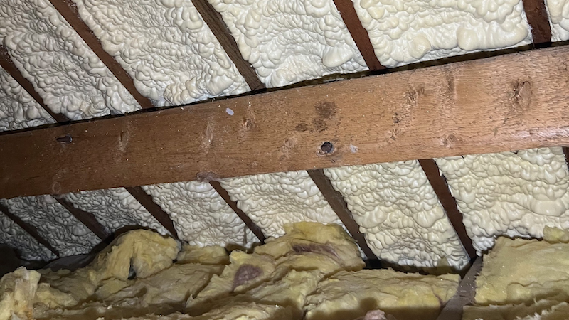 Spray Foam Insulation